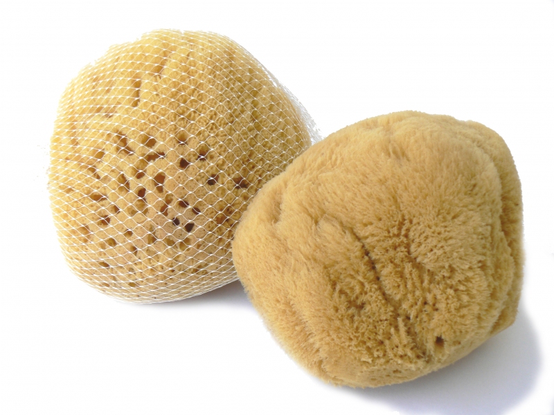 Mořská houba PREMIUM Karibská 14-15 cm
