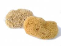 Mořská houba Silk jemná kosmetická 8-9cm