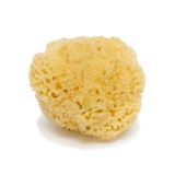 Premium Mořská houba Honeycomb 11-12cm Bellini